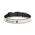 Personalized Pet Name Collar